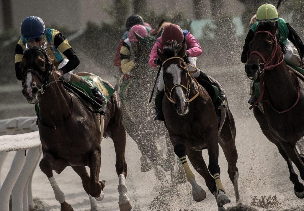 Horse Racing In Dubai - Global Appeal