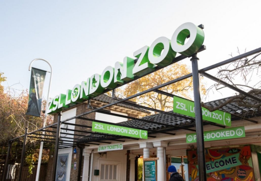 ZSL London Zoo: The Ultimate Visitor’s Guide